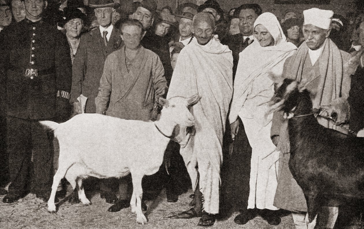 Mahatma Gandhi przybywa do Londynu w Anglii w 1931 ze swoją uczennicą Madeleine Slade i dwoma kozami, z The Story of Twenty Five Years, opublikowanej w 1935 autorstwa English Photographer