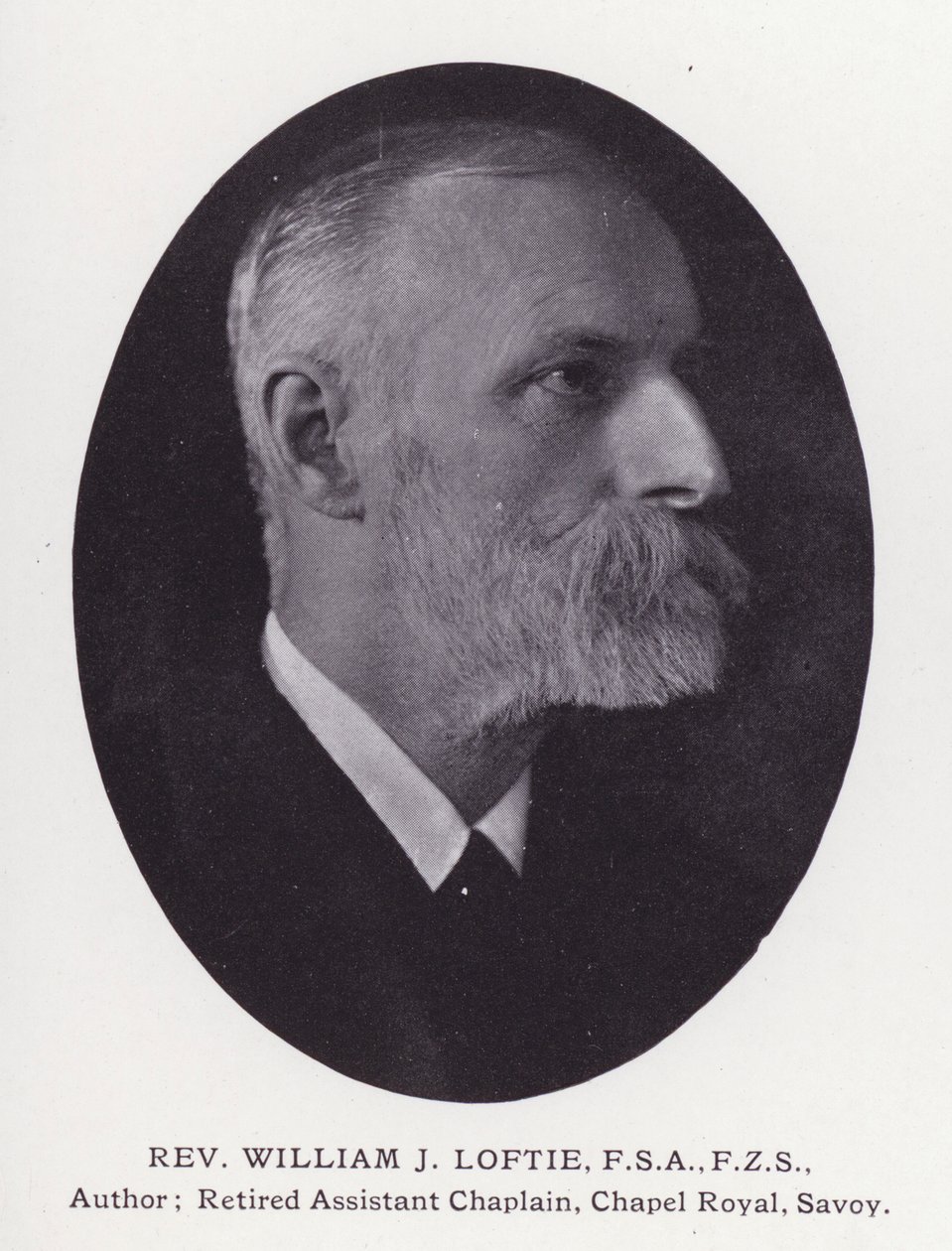 Prominent Men of London: Rev William J Loftie (zdjęcie czarno-białe) autorstwa English Photographer