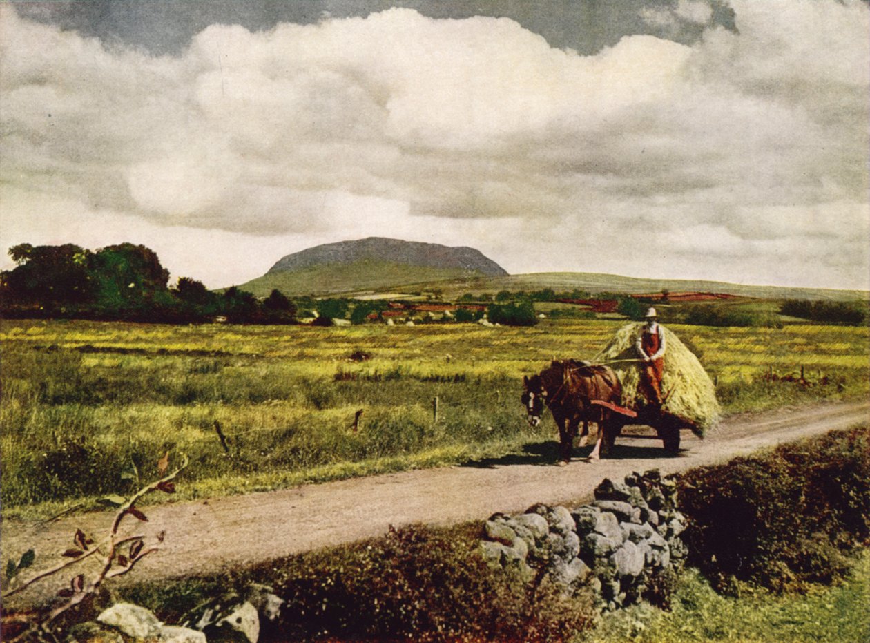 Slemish, hrabstwo Antrim (zdjęcie kolorowe) autorstwa English Photographer