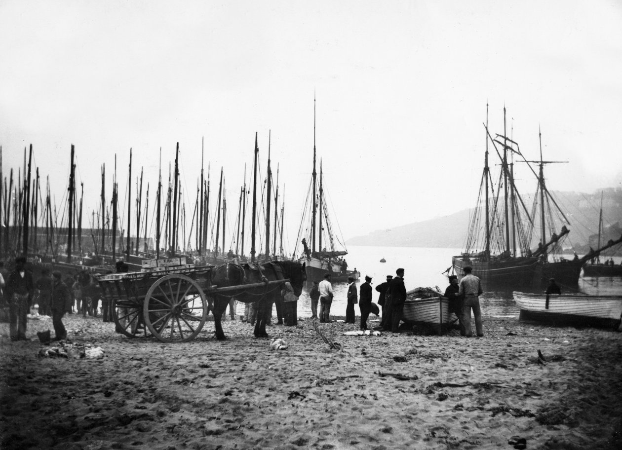 Port St Ives patrzący na zatokę Carbis, ok. 1880-99 autorstwa English Photographer