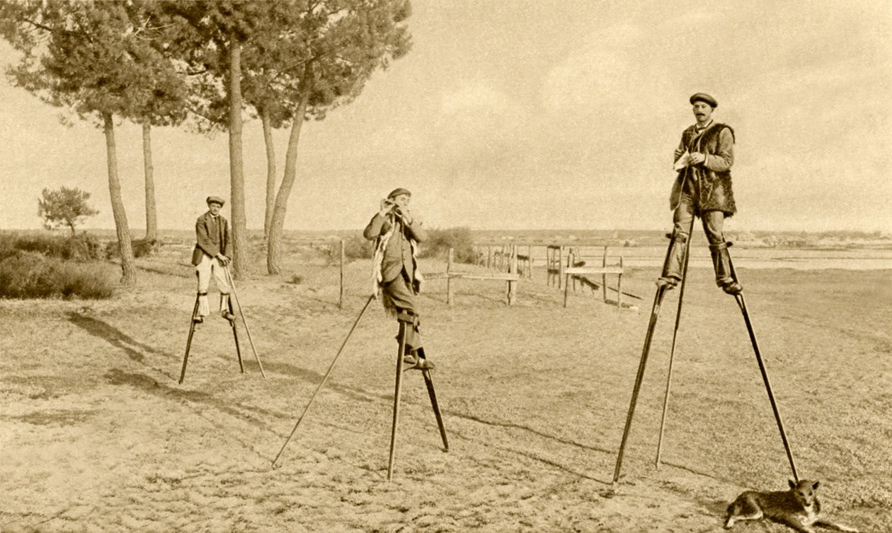 Szczudła (zdjęcie czarno-białe) autorstwa English Photographer