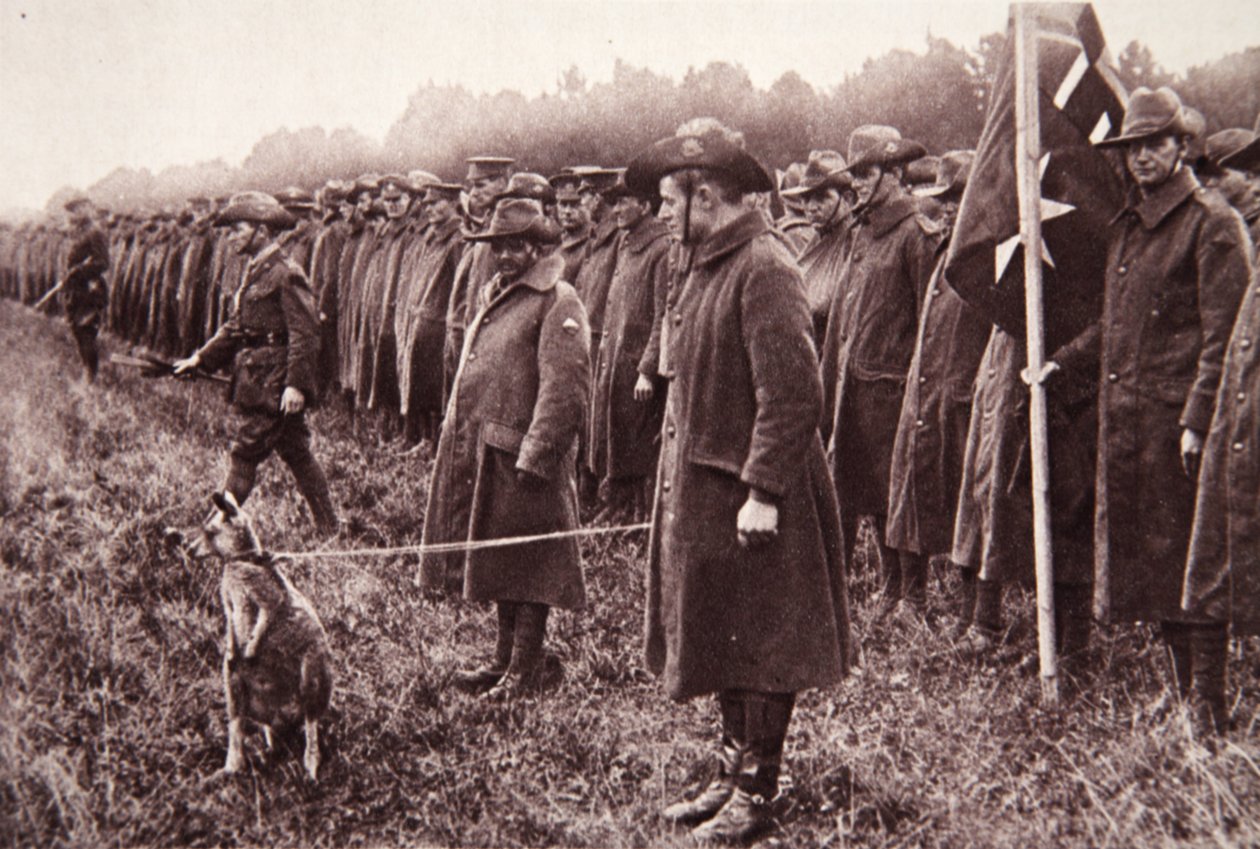 Recenzja Anzac na Salisbury Plain: australijska maskotka, ilustracja z The Illustrated War News, 27 września 1916 (zdjęcie w sepii) autorstwa English Photographer