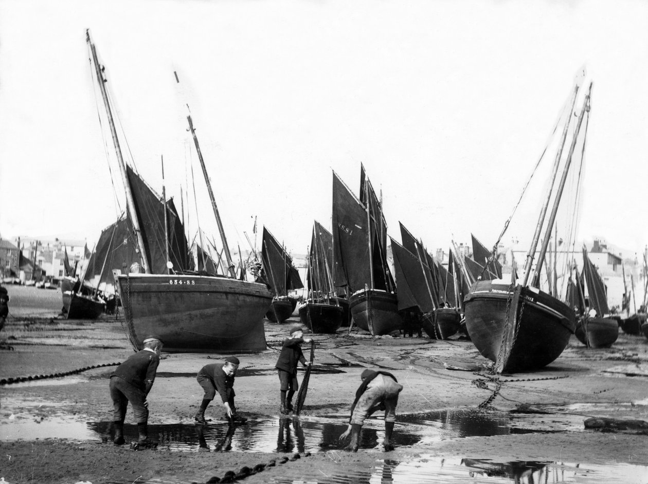 Flota rybacka w porcie St Ives, ok. 1880-99 autorstwa English Photographer