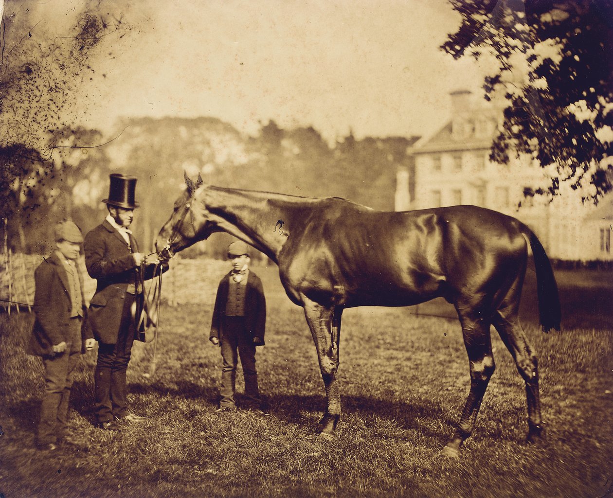 Dziki Dayrell, zwycięzca Derby w 1856 r. autorstwa English Photographer