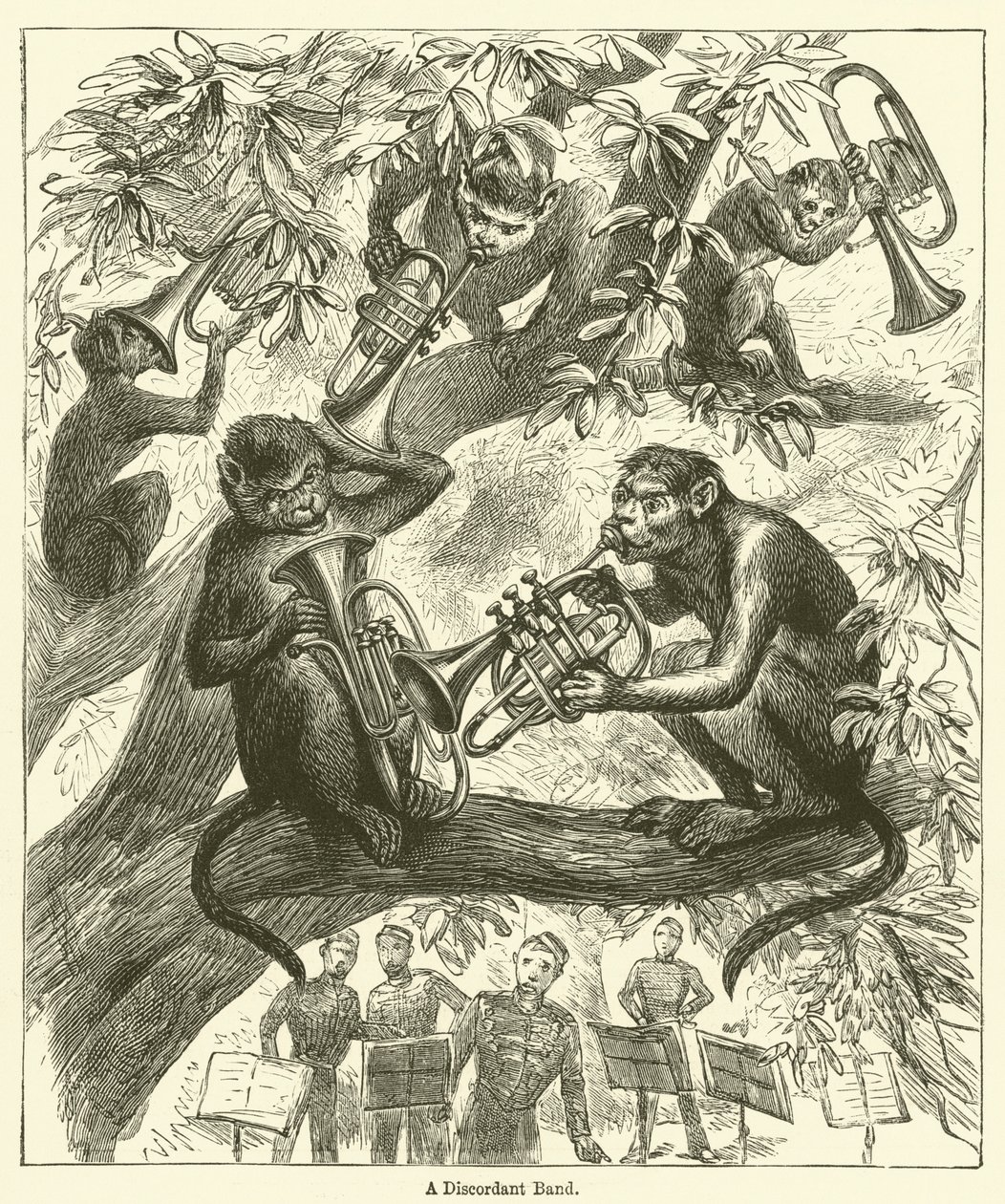 A Discordant Band (grawerunek) autorstwa English School