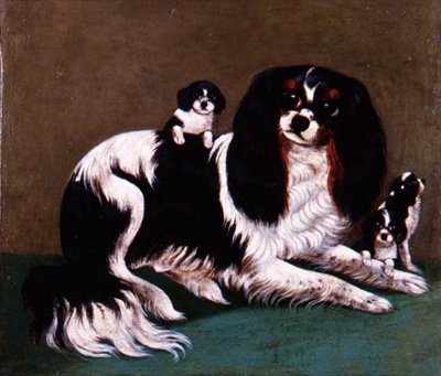 Rodzina King Charles Spaniel, Szkoła Prowincjalna autorstwa English School