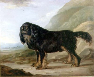 King Charles Spaniel w krajobrazie autorstwa English School