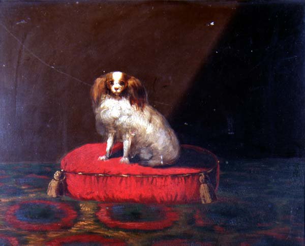 King Charles Spaniel na czerwonej poduszce, Szkoła Prowincjalna autorstwa English School