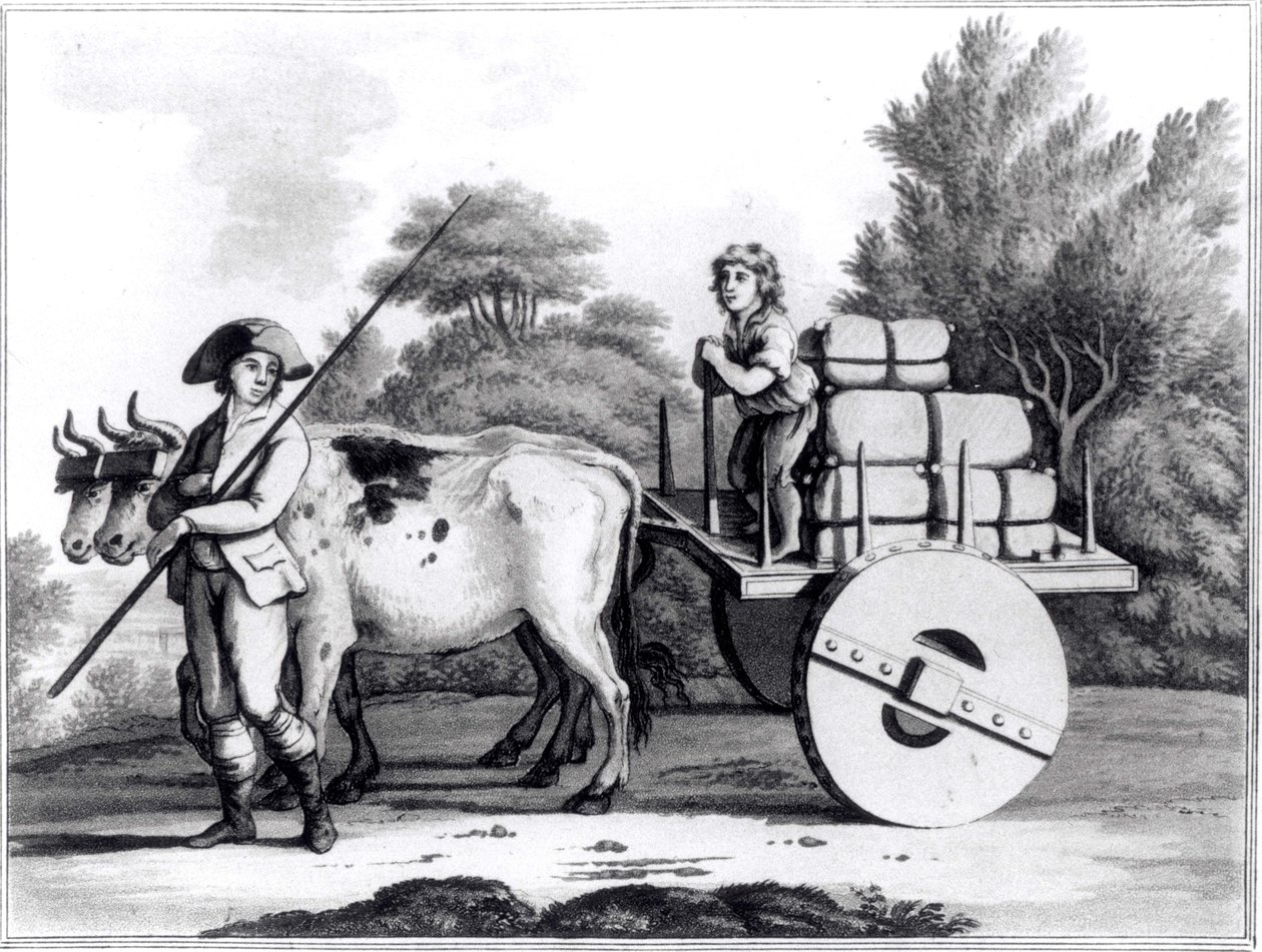 Portugalska farma, z A General View of the State of Portugal autorstwa Jamesa Murphy
