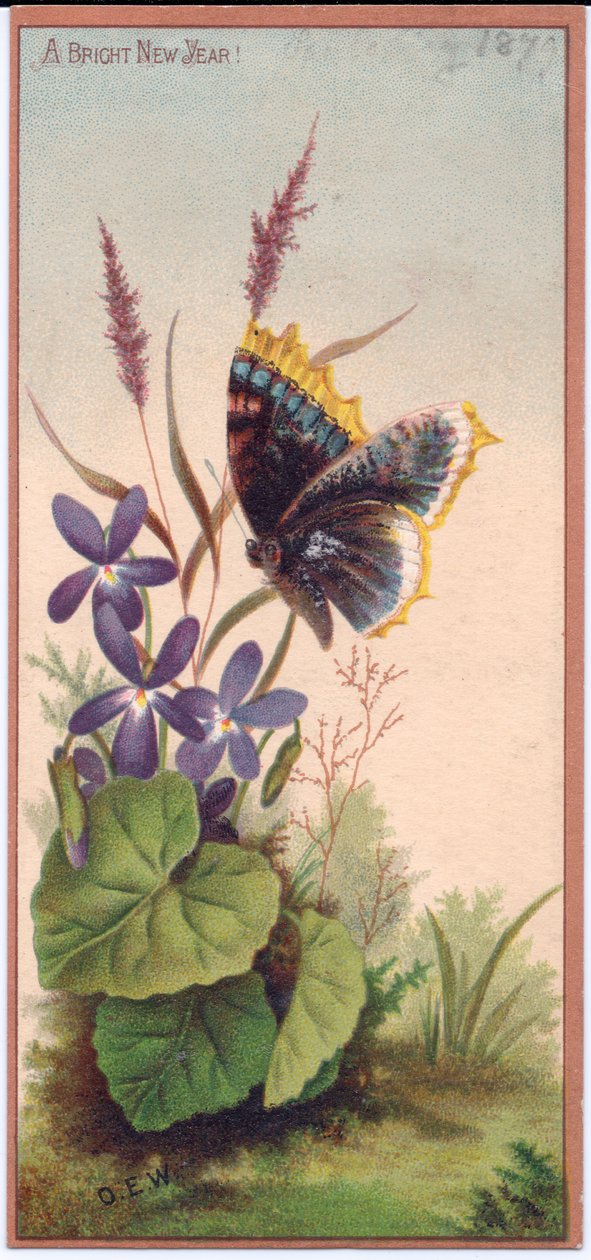 Wiktoriańska kartka noworoczna z fiołkami i motylem, ok. 1880 r. autorstwa English School