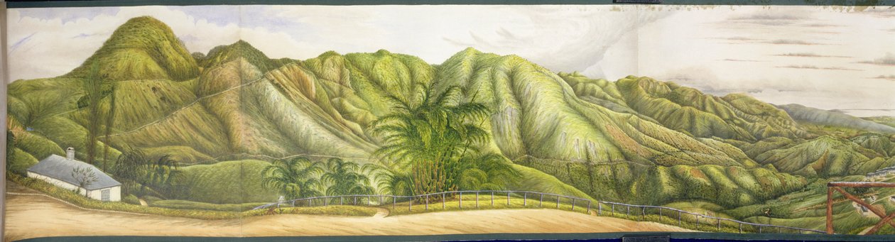 Widok na Kingston z Sanatorium Wojskowego w Newcastle, Góry Błękitne, Jamajka, 1855 (toaleta i gwasz na papierze ułożonym na płótnie) autorstwa English School