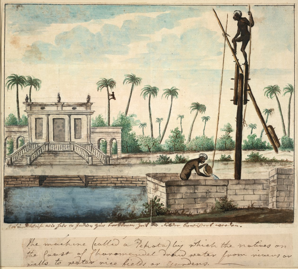 Ogród kolonialny z nawadnianiem, ok. 1787 (akwarela na papierze) autorstwa English School