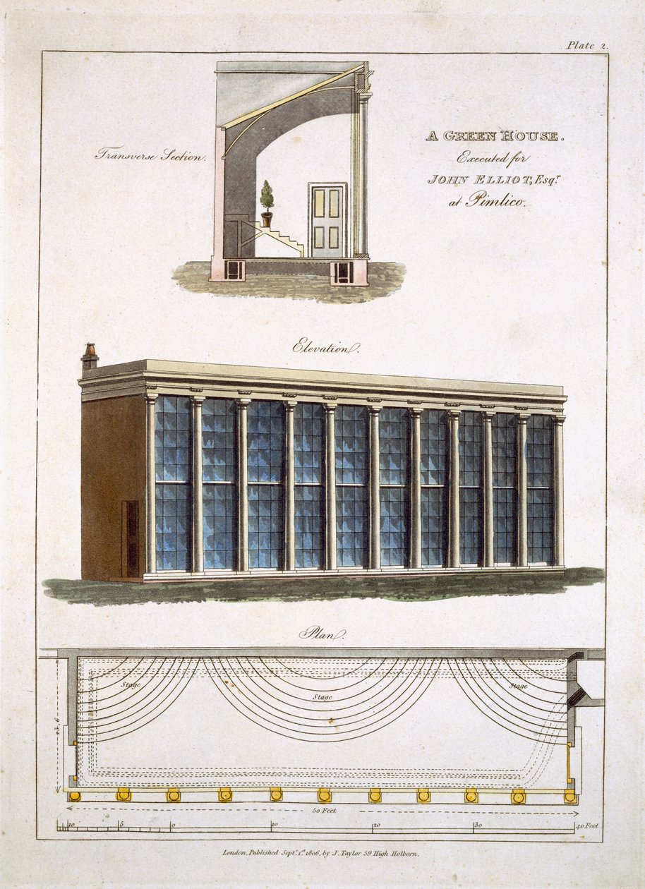 Szklarnia dla Johna Elliotta w Pimlico, Londyn, 1806 r. autorstwa English School
