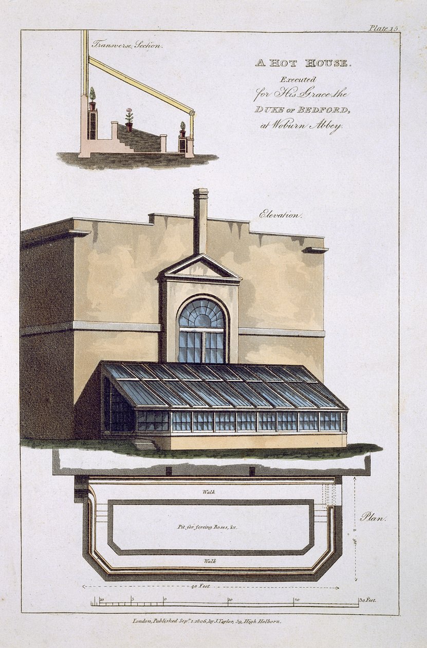 Cieplarnia stracona dla Jego Łaski Księcia Bedford w opactwie Woburn, 1806 autorstwa English School