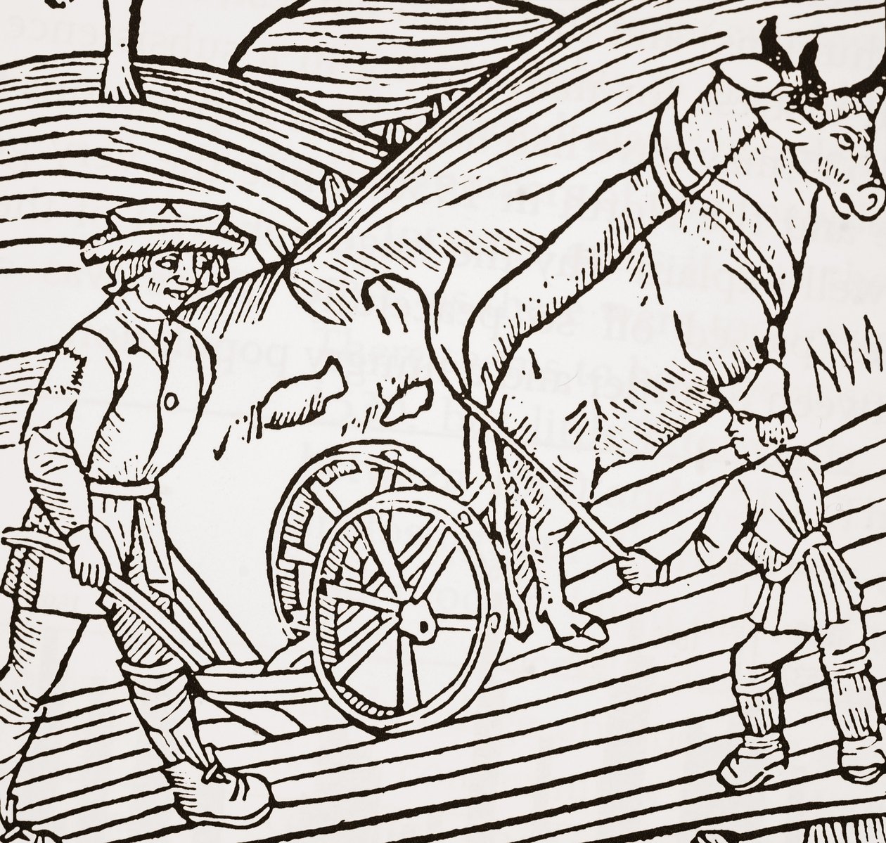 Para wołów zaprzęgniętych do pługa, strona tytułowa z pierwszego pubu John Fitzherberts Boke of Husbandry. 1523 autorstwa English School