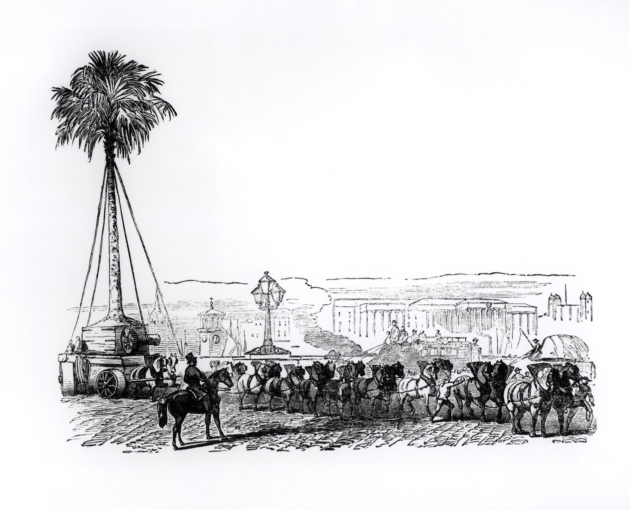 Palma przewożona do Hyde Parku na Wielką Wystawę, Londyn, 1851 autorstwa English School
