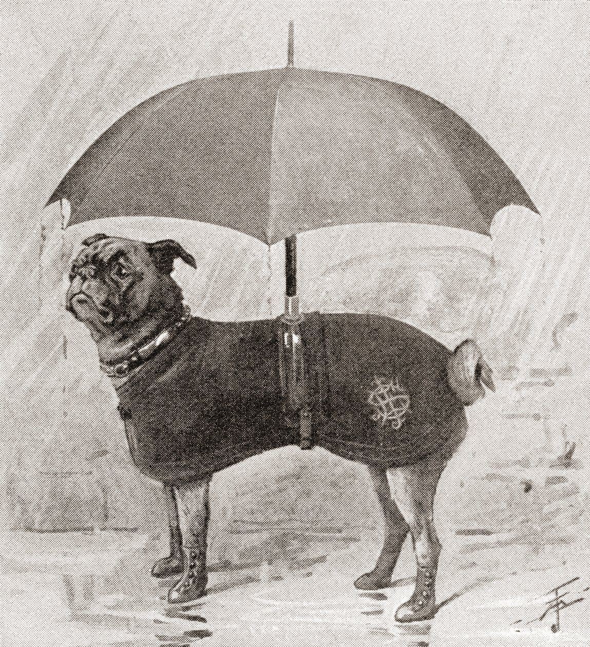 Um pug usando botas, casaco e guarda-chuva para protegê-lo da chuva autorstwa English School