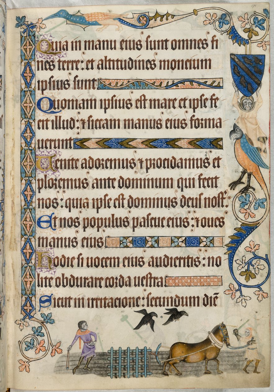 Dodać. 42130 fol.171 Bronowanie, z Psałterza Luttrella, ok. 1325-35 (welum) autorstwa English School