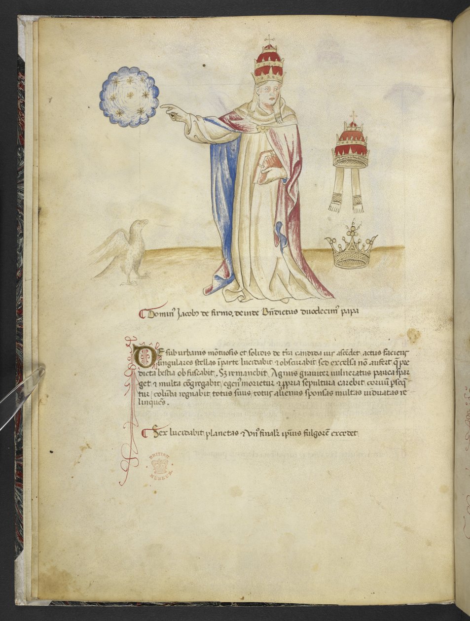Dodaj MS 15691 