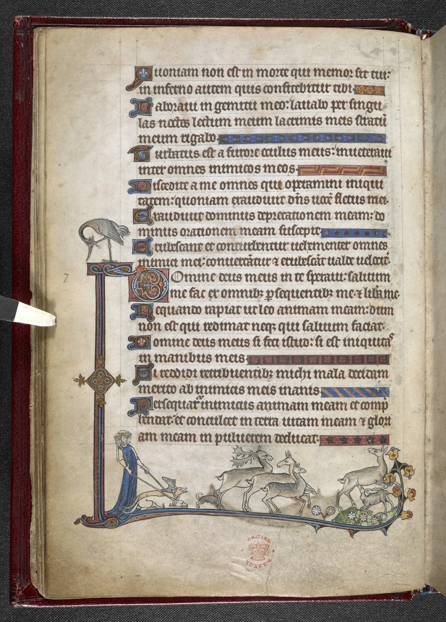 Dodaj MS 24686, f.13v Psalm z przedłużeniem pobocznym tworzącym częściową granicę, c.1284-1316 (welum) autorstwa English School