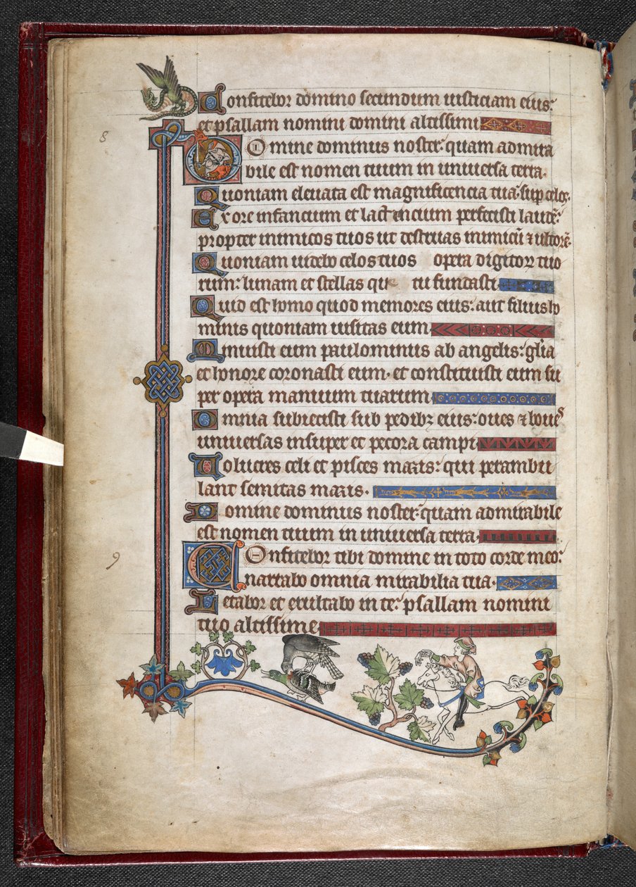 Dodaj MS 24686, f.14v, Chłopiec na kucyku z kaczką polującą na sokoła, c.1284-1316 (welum) autorstwa English School