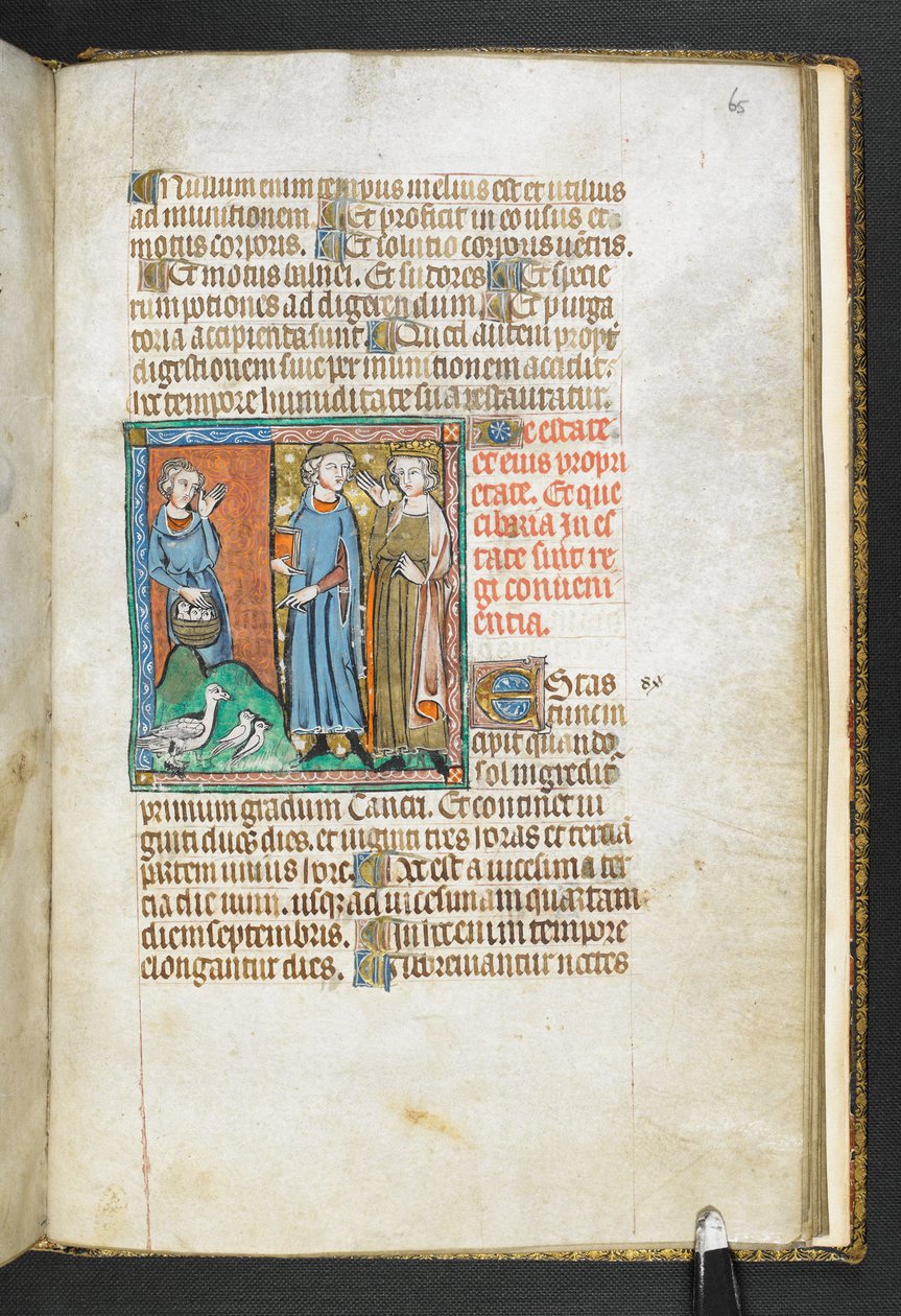 Dodaj MS 47680, f.65r Arystoteles wskazujący na ptaki przywiezione do króla, z Secretum Secretorum, c.1326-27 (welum) autorstwa English School