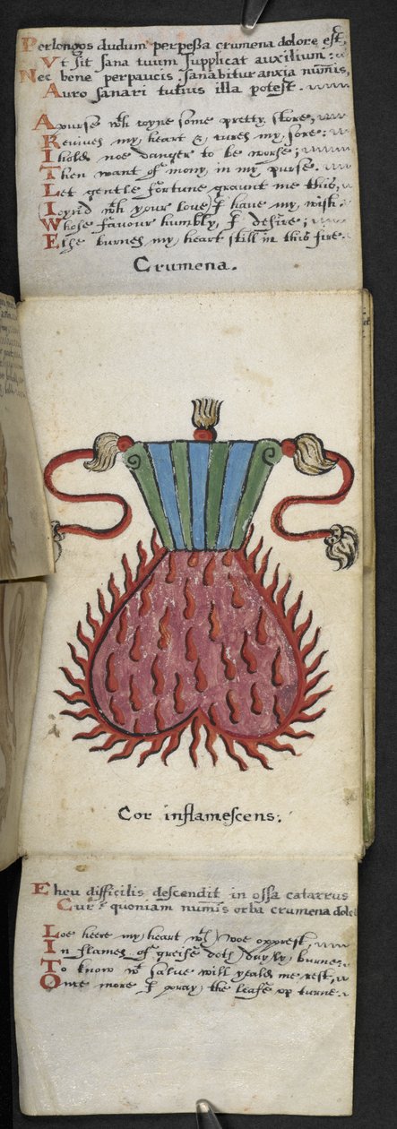 Dodaj książkę do gry MS 57312 f.10 (tusz i kolor na pergaminie) autorstwa English School