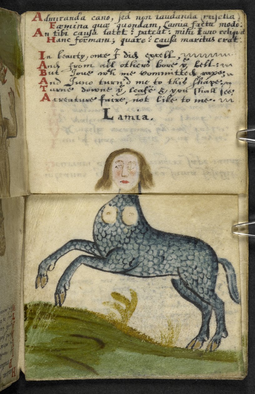 Dodaj grę MS 57312 f.13 (tusz i kolor na pergaminie) autorstwa English School