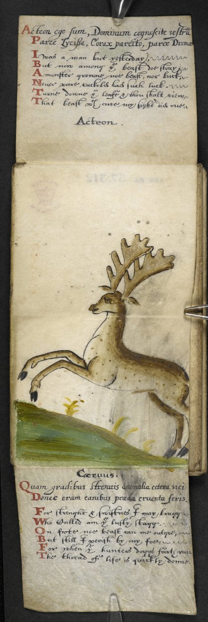 Dodaj książkę do gry MS 57312 f.15 (tusz i kolor na pergaminie) autorstwa English School