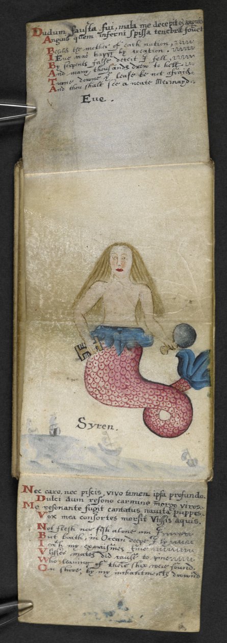Dodaj książkę z grami MS 57312 f.2 (tusz i kolor na pergaminie) autorstwa English School
