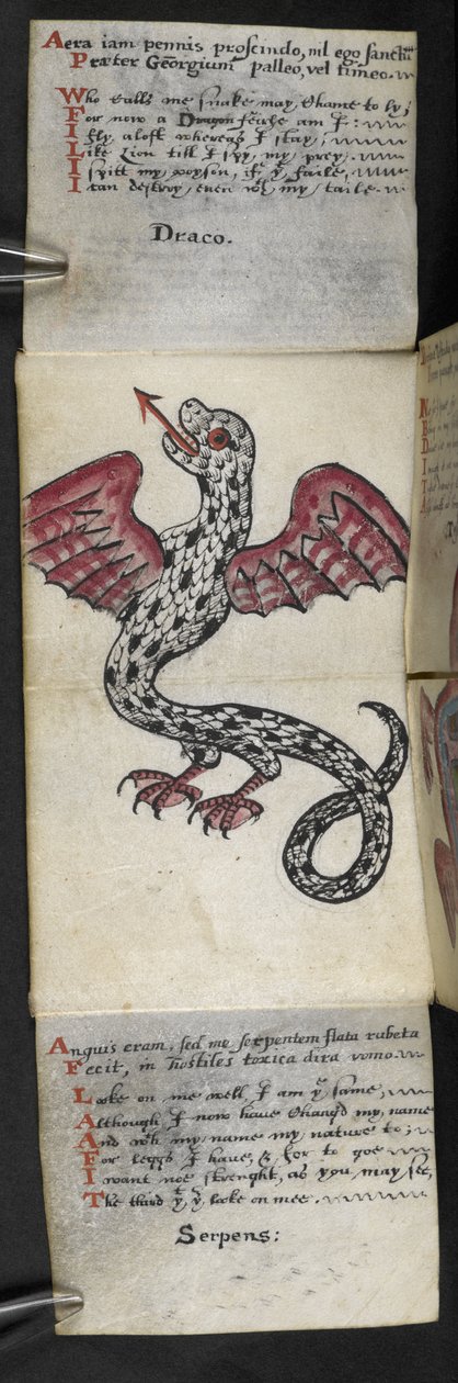 Dodaj książkę do gry MS 57312 f.3 (tusz i kolor na pergaminie) autorstwa English School