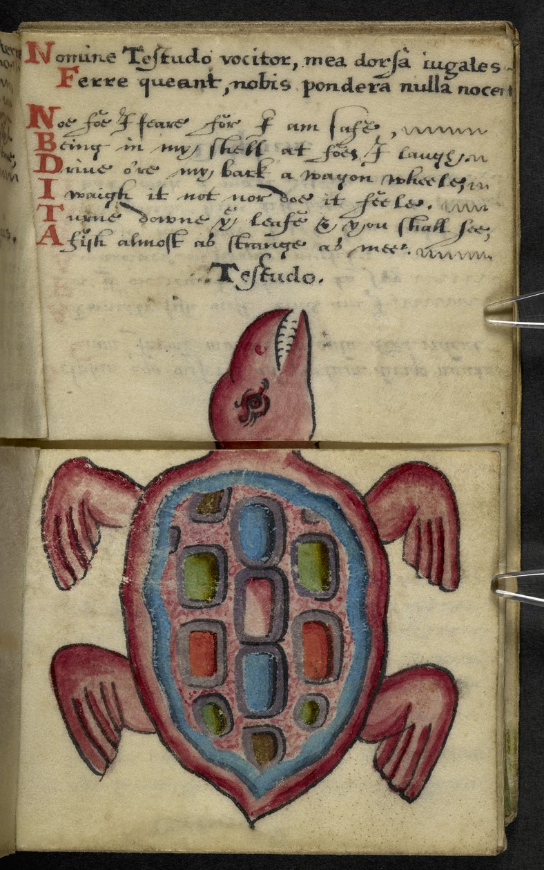 Dodaj książkę do gry MS 57312 f.5 (tusz i kolor na pergaminie) autorstwa English School