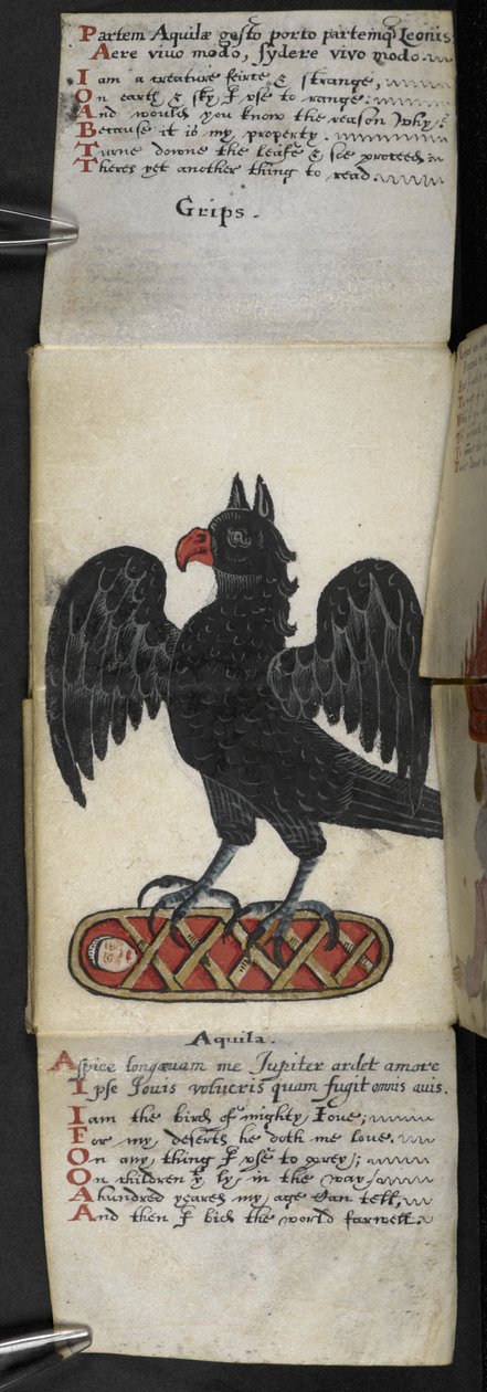 Dodaj książkę do gry MS 57312 f.8 (tusz i kolor na pergaminie) autorstwa English School