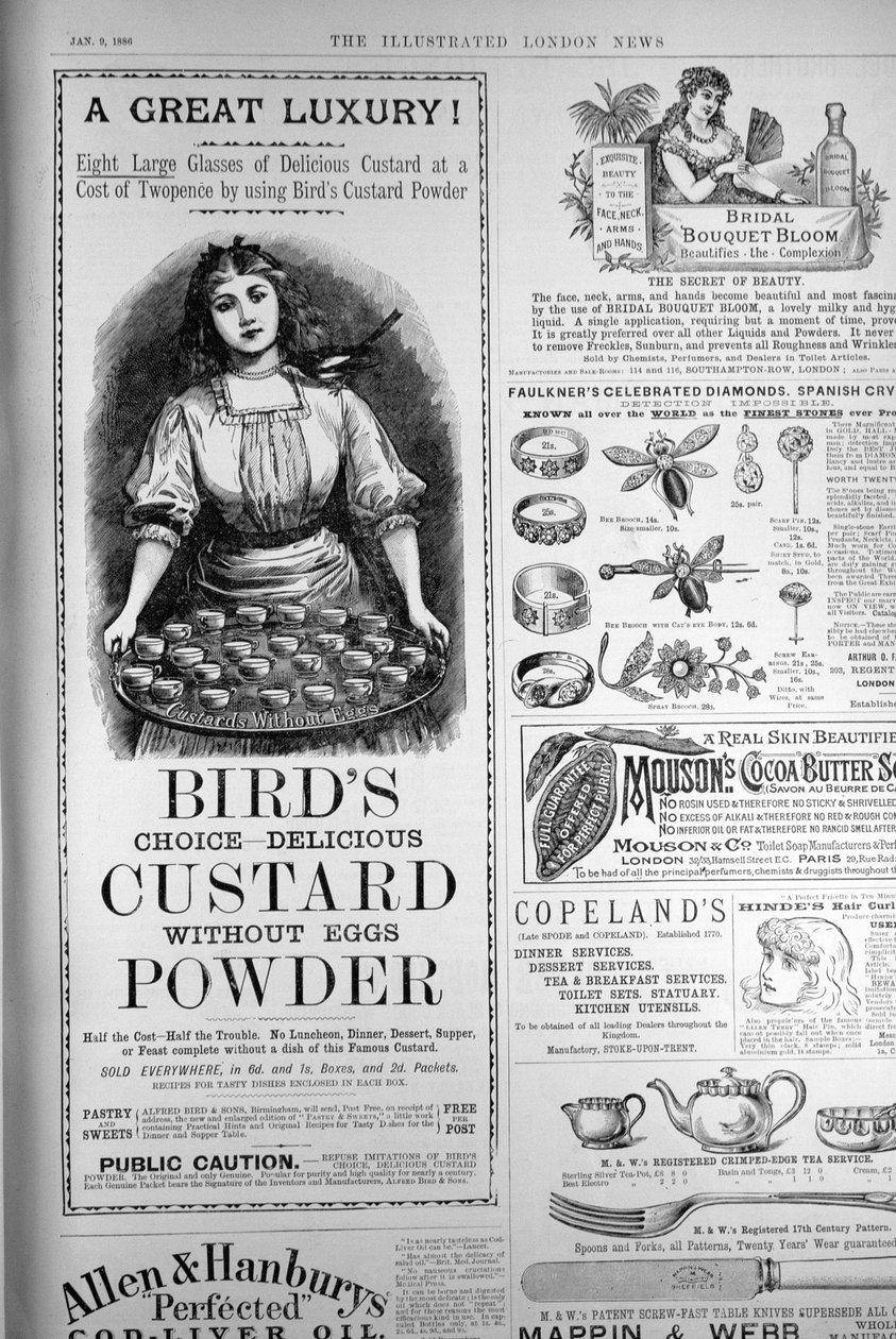 Reklama proszku Birds Custard, z The Illustrated London News, 1 września 1886 r. autorstwa English School