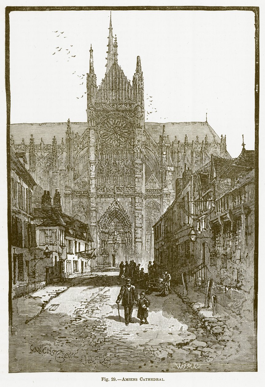 Katedra w Amiens (rycina) autorstwa English School