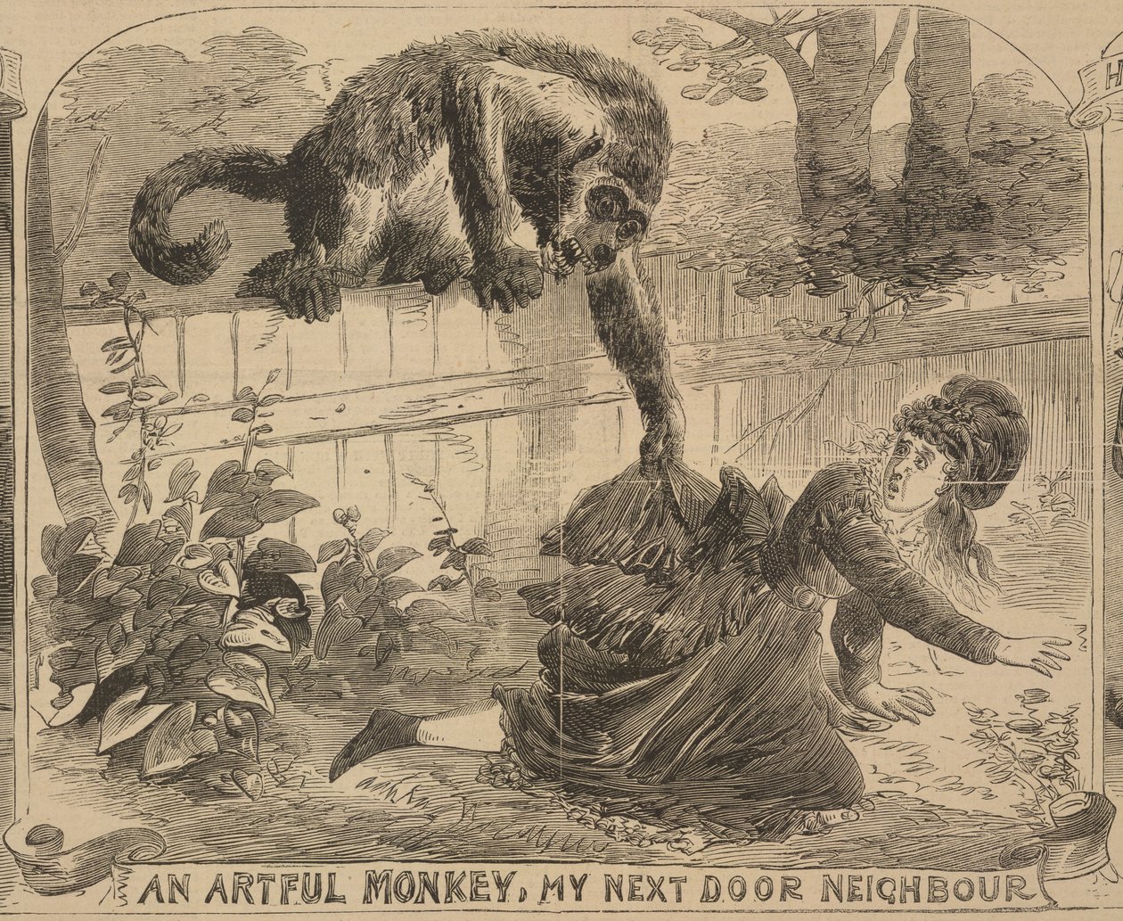„Przemyślna małpa, mój sąsiad z sąsiedztwa”, ilustracja z „Ilustrowanych wiadomości policyjnych”, 24 sierpnia 1872 r. (lito) autorstwa English School