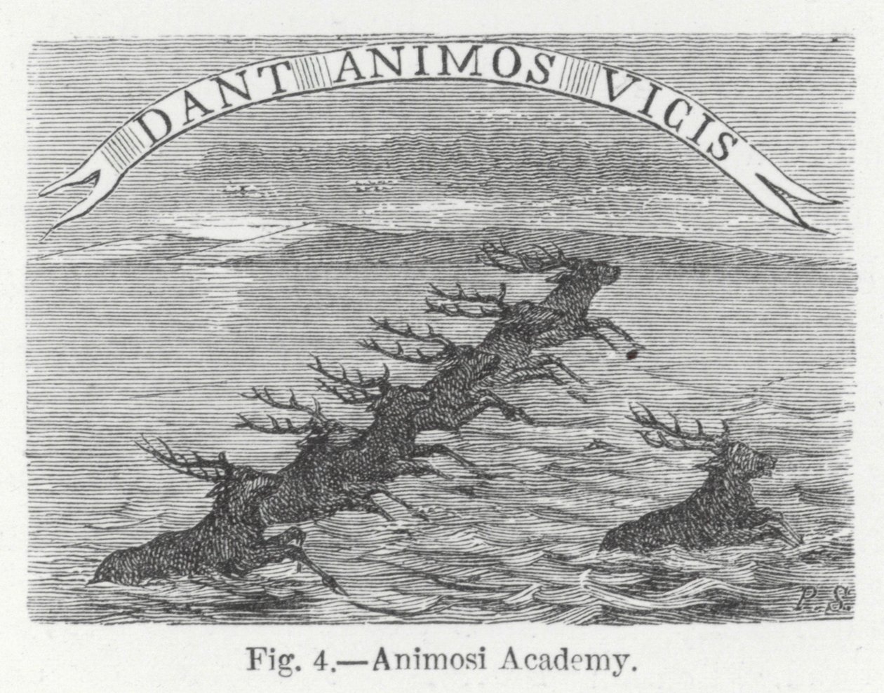 Akademia Animosi (grawerowanie) autorstwa English School