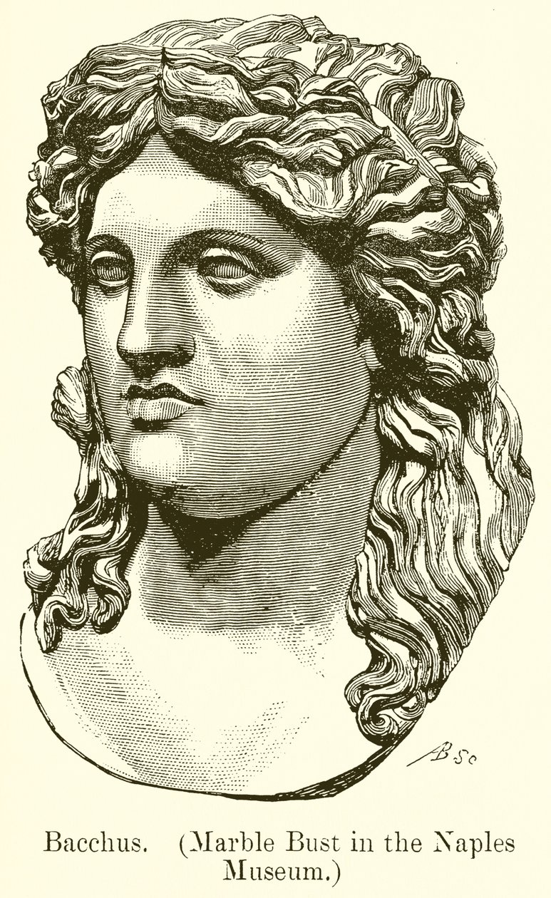 Bachus. (Marmurowe popiersie w Muzeum Neapolitańskim) (rycina) autorstwa English School