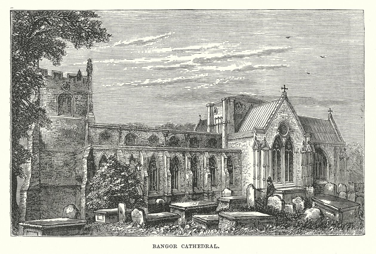 Katedra w Bangor (grawerunek) autorstwa English School