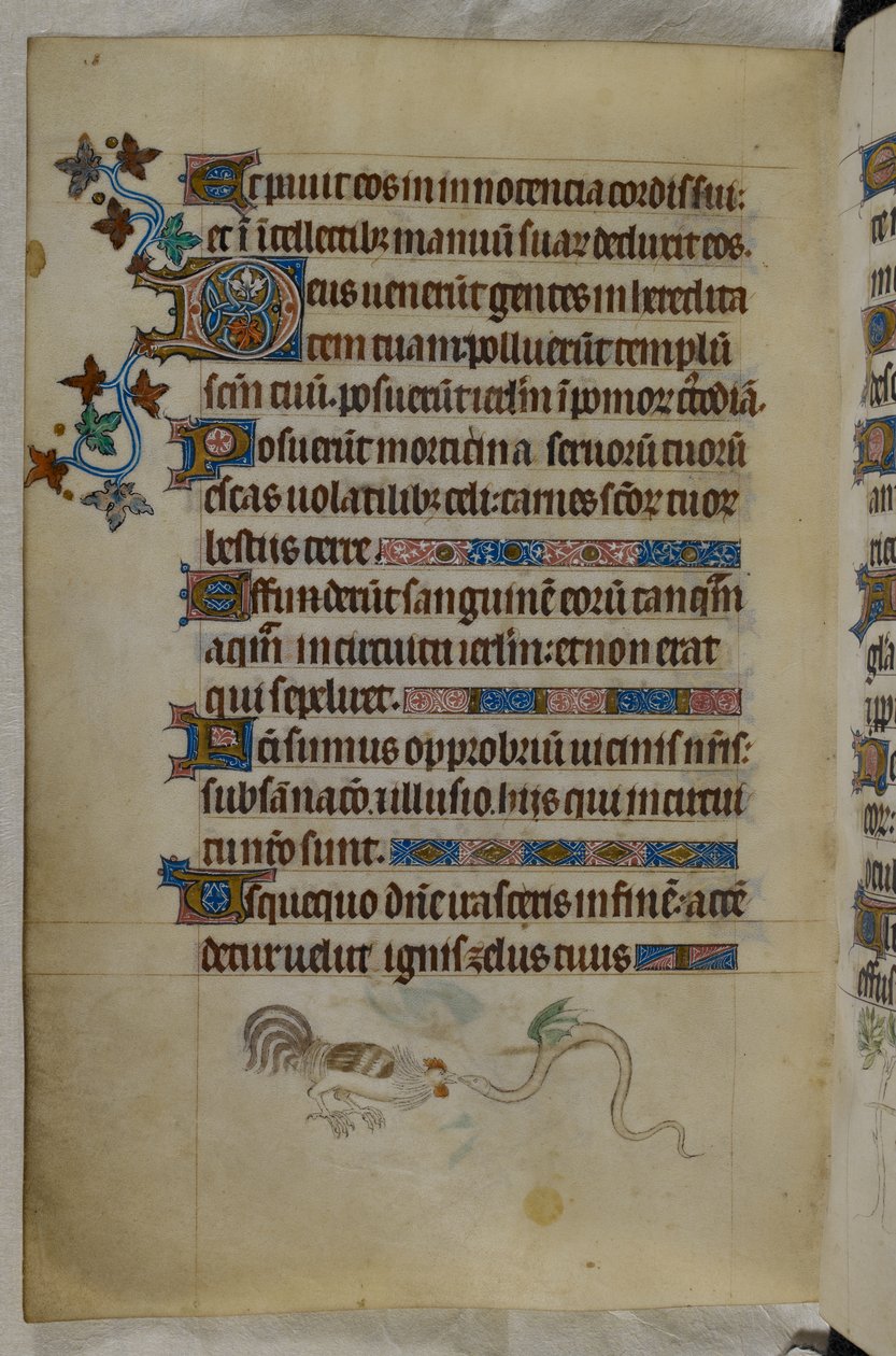 Płaskostronicowa scena walki koguta ze skrzydlatym wężem, z ozdobnym inicjałem „D” (eus), Psałterz („Psałterz Królowej Marii”), Royal MS 2 B VII, f.187v, c.1310- 20 (welin) autorstwa English School