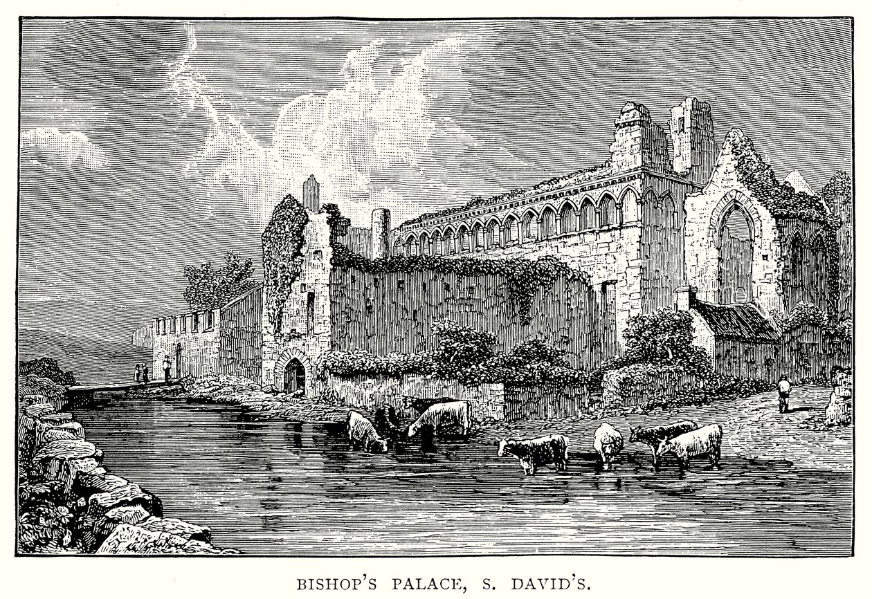 Pałac Biskupi, S David
