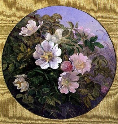 Briar Roses, ok.1890 (akwarela na papierze) autorstwa English School
