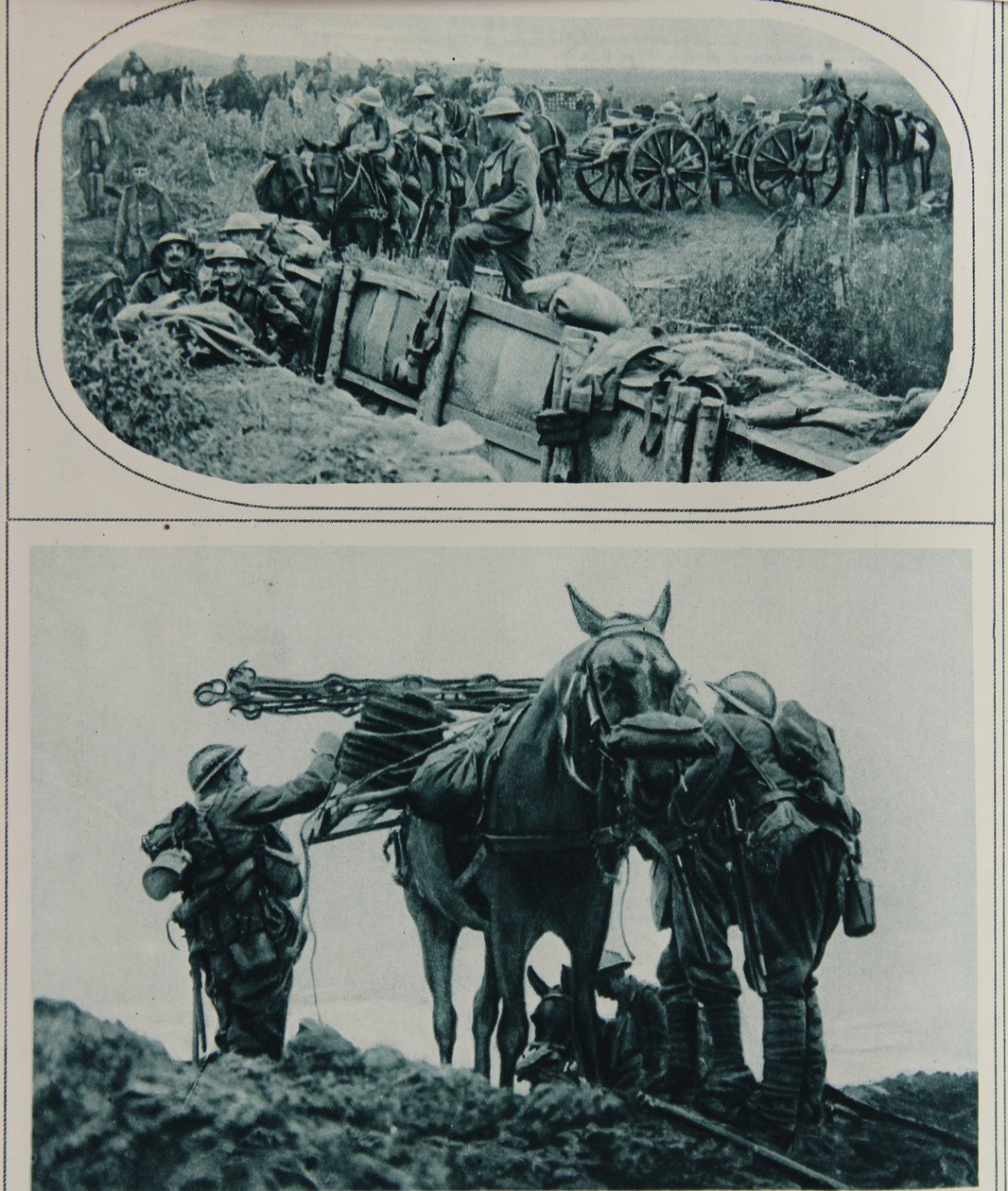 Brytyjscy kanonierzy z jucznymi koniami, Flandria, sierpień 1917 autorstwa English School
