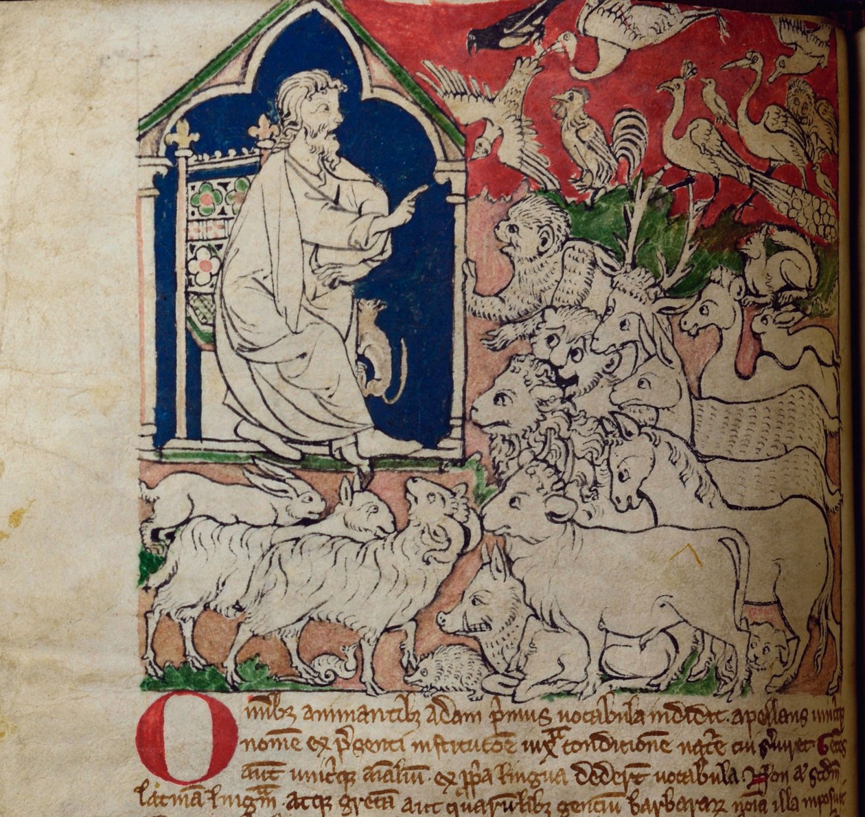 CCA-LitMs/D/10 os. 7v Adam, z Bestiariusza autorstwa English School