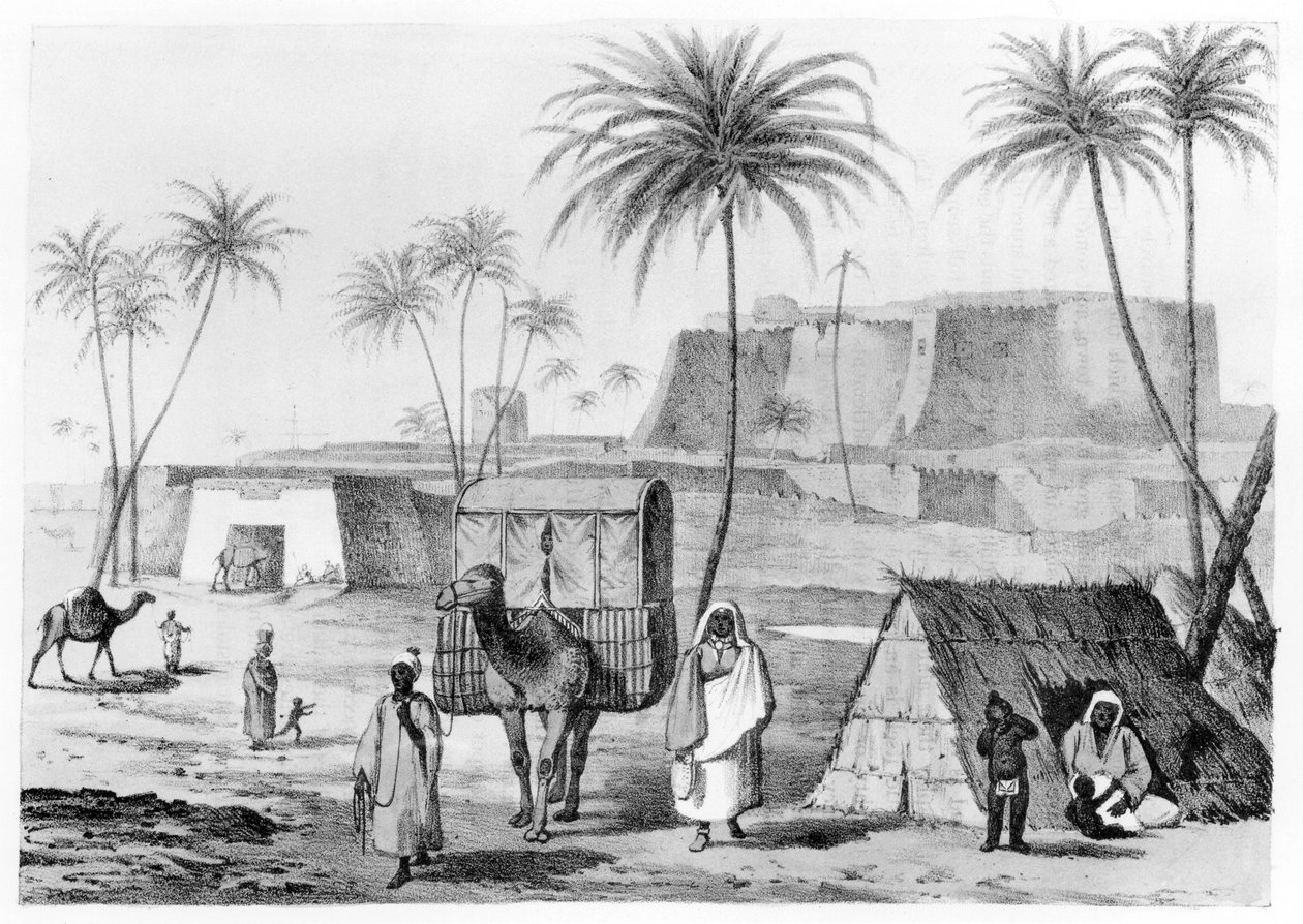 Miot wielbłądów w Morzouk w Fezzan w Libii, z Narrative of Travels in Northern Africa autorstwa G.F. Lyon, opublikowano 1821 autorstwa English School