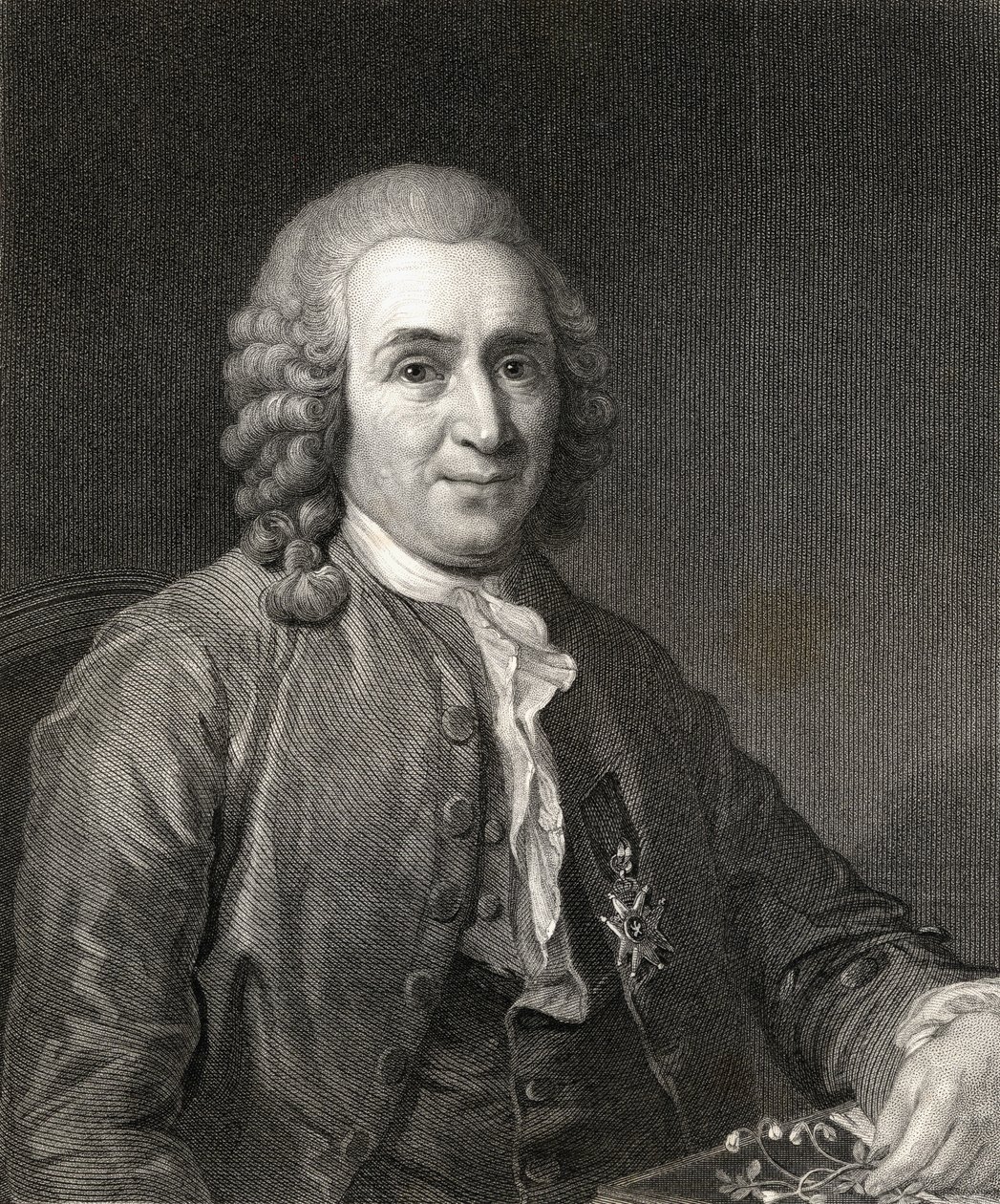 Carl von Linne lub Linneus (1707-78) z Galerii Portretów, wydanej w 1833 r. autorstwa English School