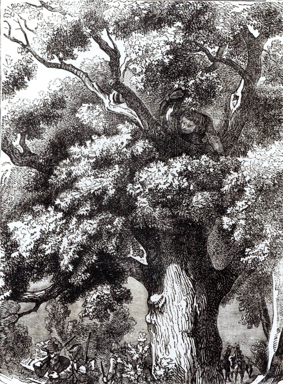 Karol II (1630-1685) Ukryty w dębie, 14 października 1651 autorstwa English School