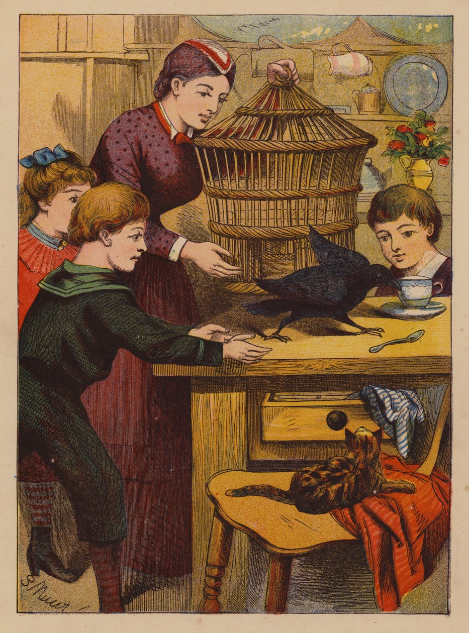 Sprytne sztuczki (druk kolorowy) autorstwa English School