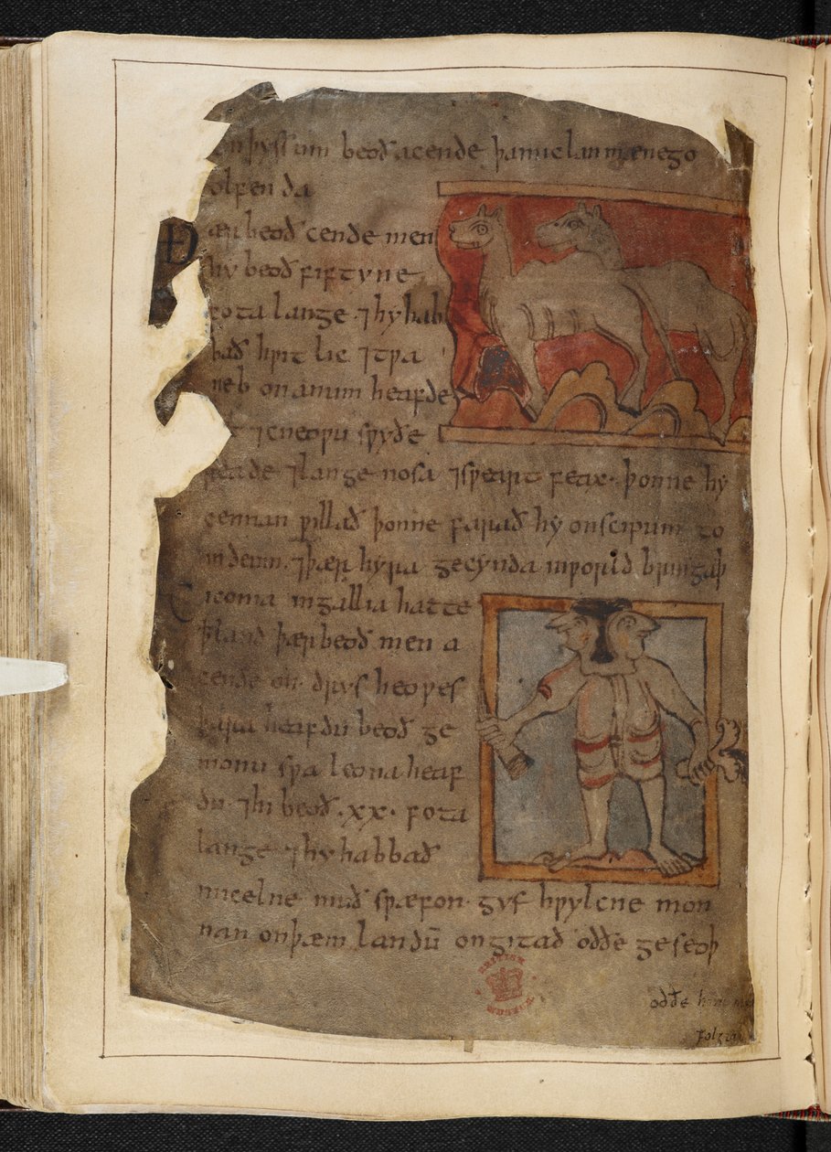 Bawełna MS Vitellius A XV f.101v, Beowulf, z „Kodeksu Nowell” (tusz na pergaminie) autorstwa English School
