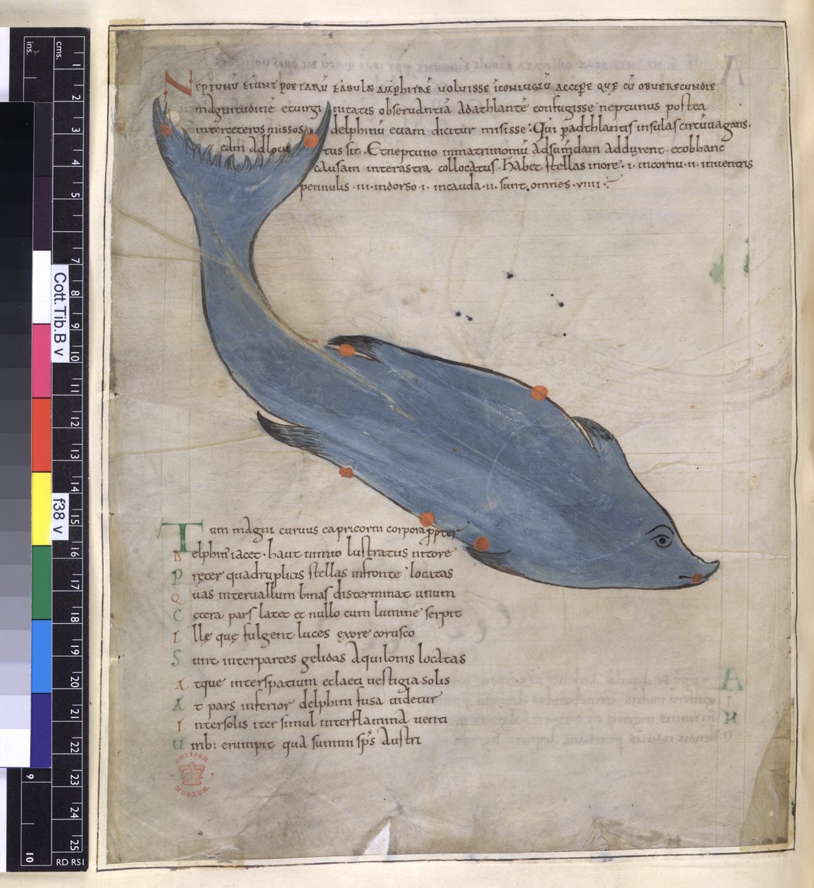 Cotton Tiberius B. V, Część I fol.38v Konstelacja Delfina z „Aratusa Cycerona” autorstwa English School